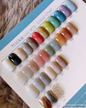 flicka nail arts color gel 31 color set FG-CS23SS