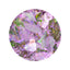 LEAF SELECTION Antique flakes 14 Purple