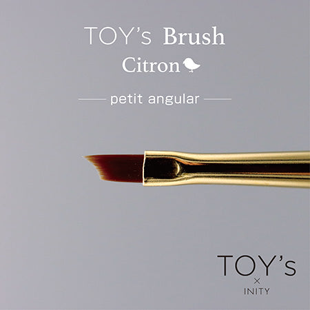 TOY's × INITY TOY's × Citron T-CBR-PAN Petit Angular