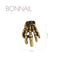 Bonnail Skeleton Hand Gold 2P