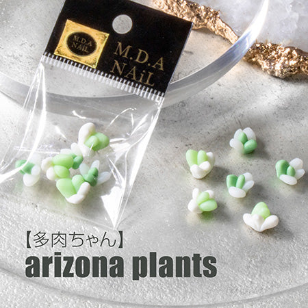 Bonnail × mda succulent arizona plants  S