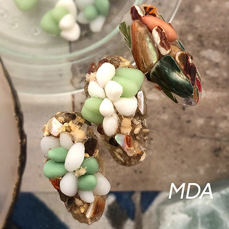 Bonnail × mda succulent arizona plants  S