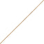 Bonnail elegant chain 30cm Gold