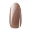 Ann Professional Color Gel 015  Pearl brown beige 4g