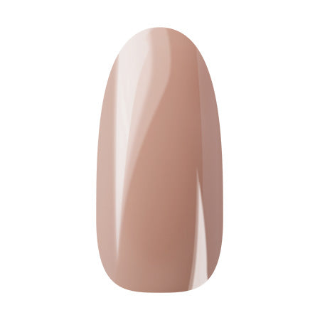 Ann Professional Color Gel 024  Pink beige  4g