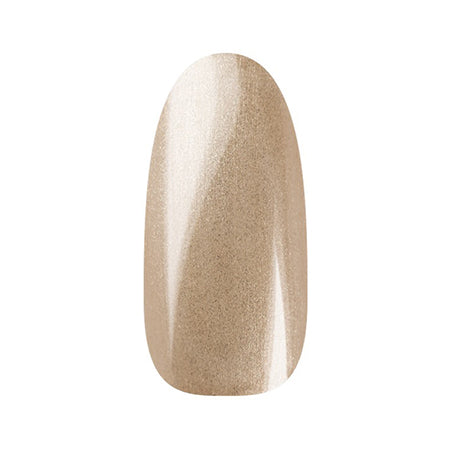 Ann Professional Color Gel 142  Glitter Ocher Beige  4g