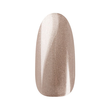 Ann Professional Color Gel 146  Glitter Pink Brown 4g