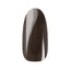 Ann Professional Color Gel 149  Chestnut Brown 4g