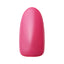 Dna Gel Color Gel Certification 005 Pink 2.5G