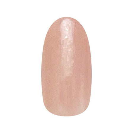 Nail Parfait Color Gel 173 Sorbet Noisette 2G