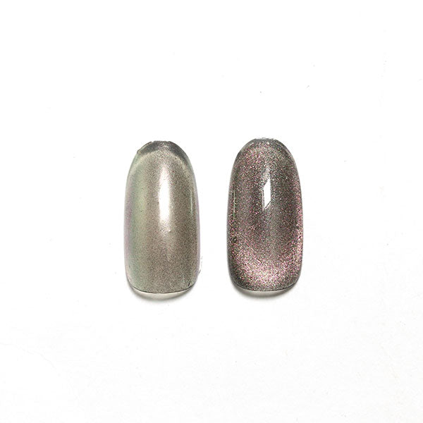 SHAREYDVA Magnet Powder Taupe Pink 0.5g