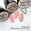 ICE GEL A BLACK Blossom Matte Top Gel 3 color set