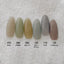 D.nail Botanical Gel 6 Color Set ② (07S-12S)  2.5G×6