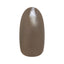 Nail Parfait Art Color Gel IC2 Safari